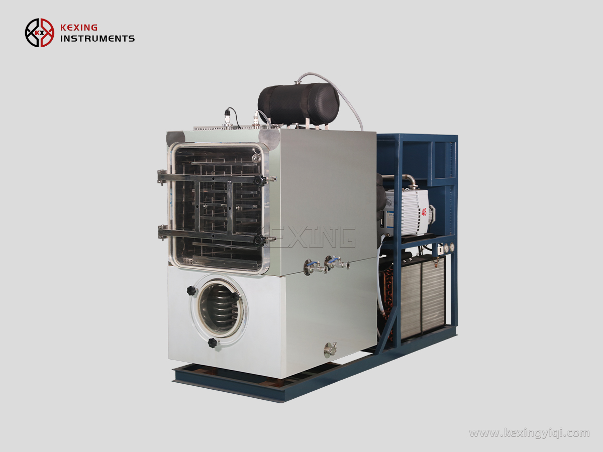 Pilot vacuum freeze dryer 