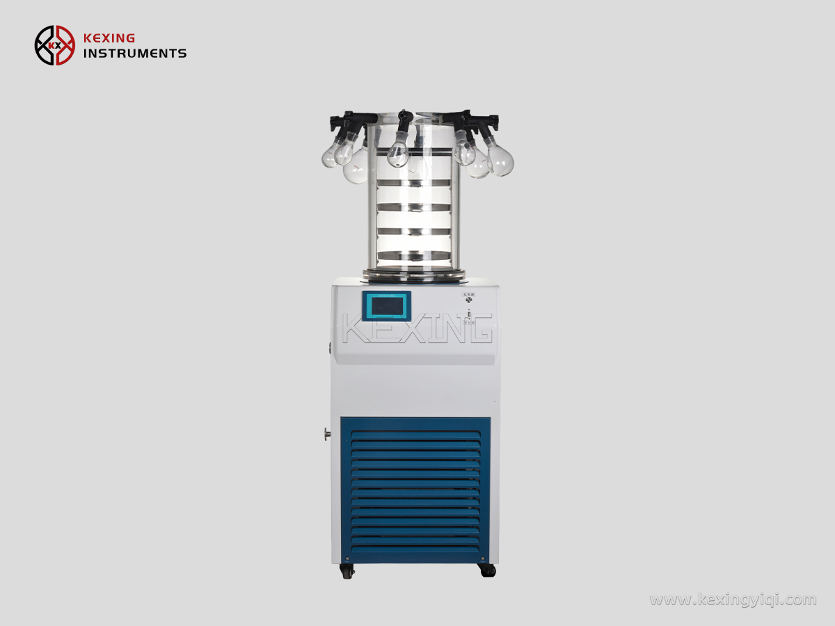 Experimental vacuum freeze dryer 