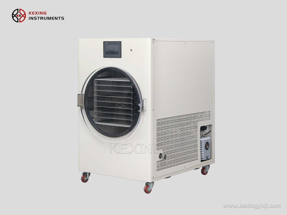 Household freeze dryer 