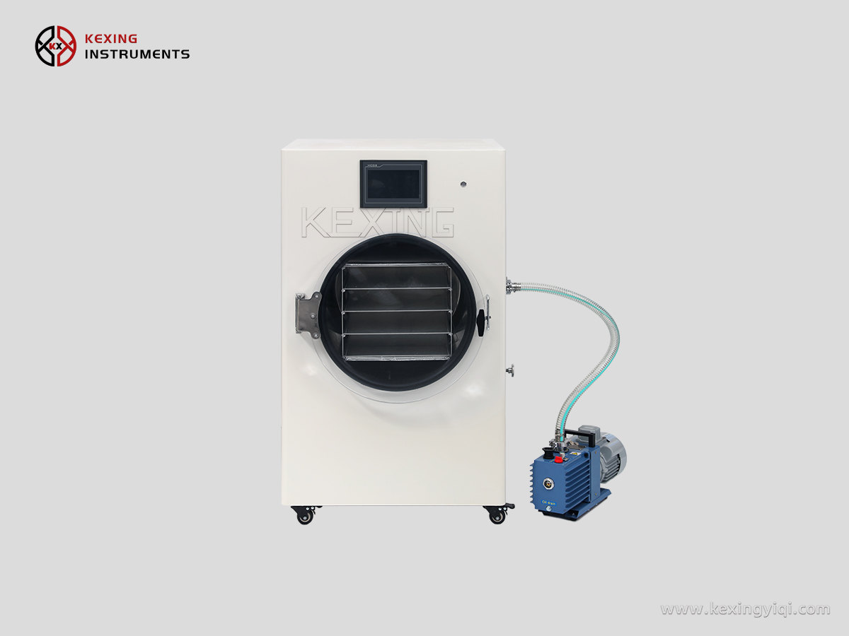 Household freeze dryer 