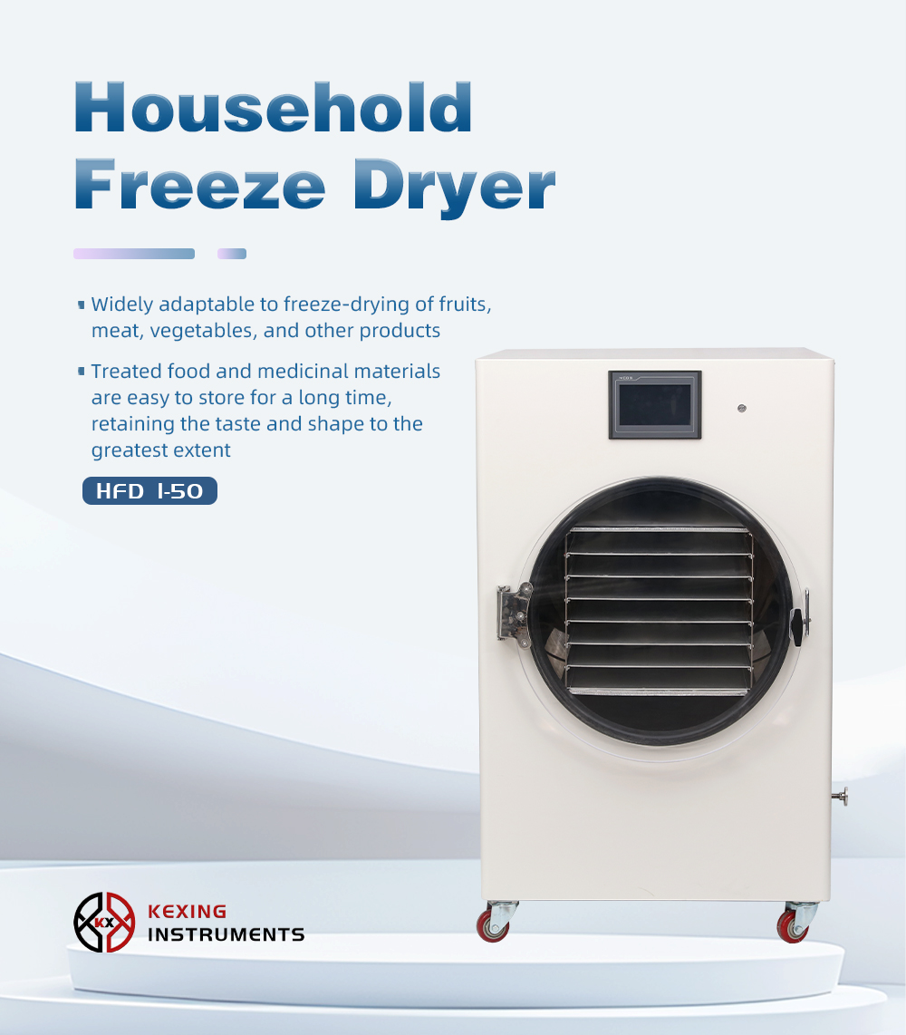 Household freeze dryer
