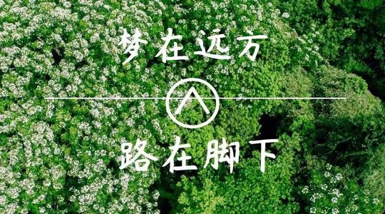 上海科兴仪器