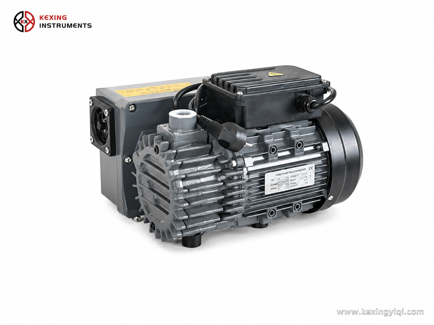 Rotary Vane Vacuum Pump